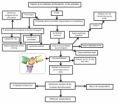 /album/fotogaleria/mapa-mental-png/